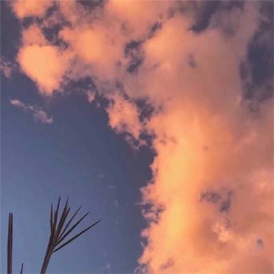 醉萌西游赚钱版本下载